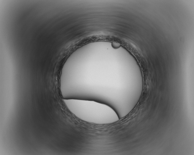 X0000115781062200911131002