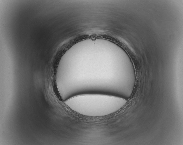 X0000115781063200911131002