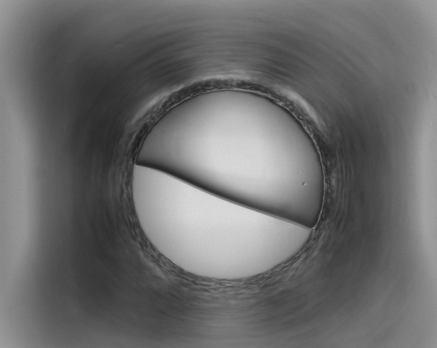 X0000115781064200911131002