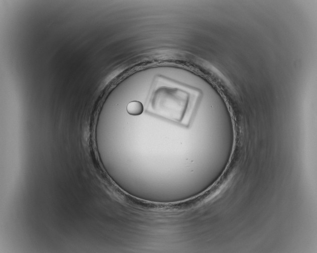 X0000115781065200911131002