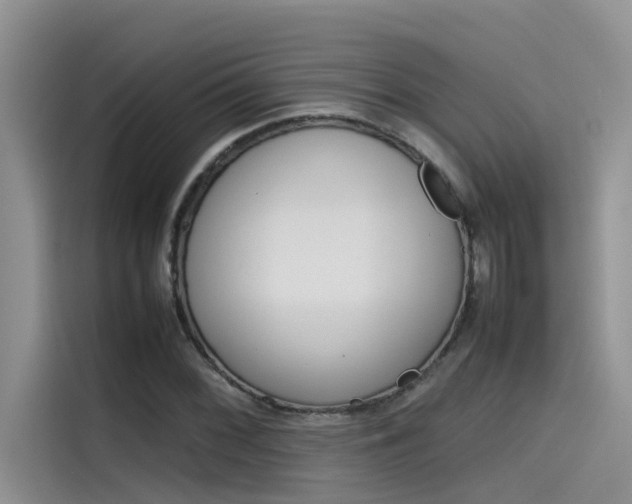 X0000115781068200911131002