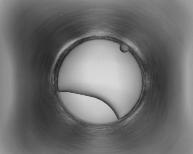 X0000115781070200911131002
