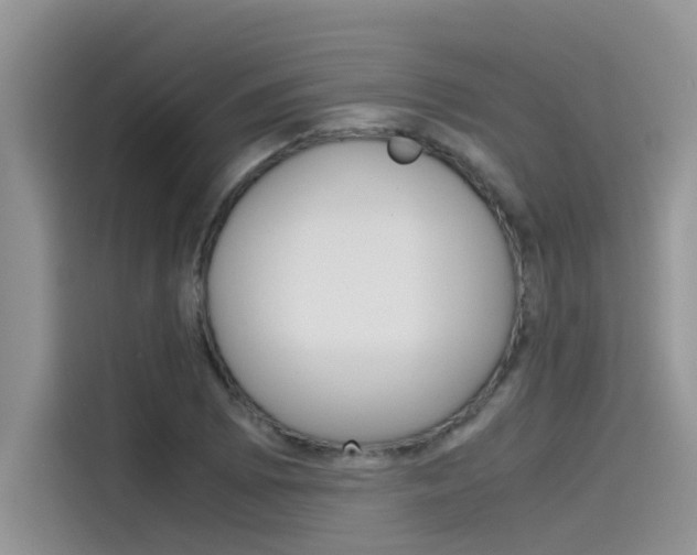 X0000115781073200911131002