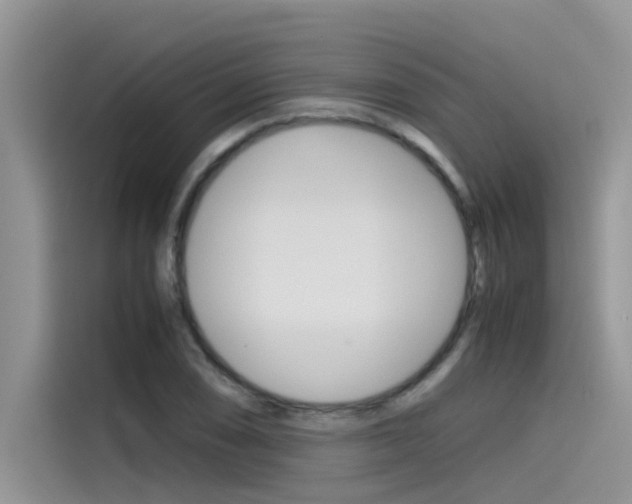X0000115781074200911131002