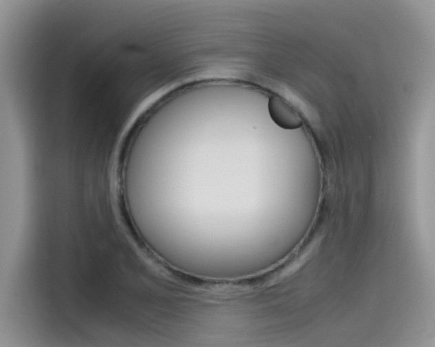 X0000115781077200911131001