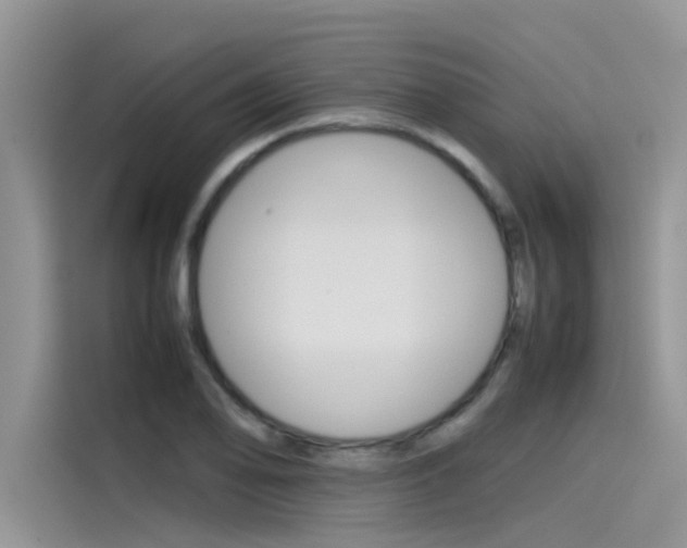 X0000115781078200911131001