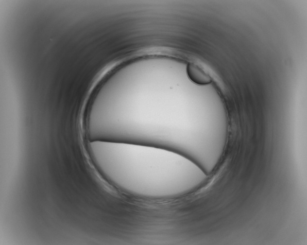 X0000115781082200911131001