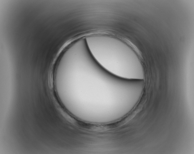 X0000115781083200911131001