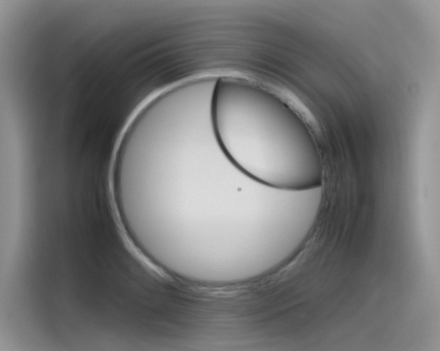 X0000115781084200911131001