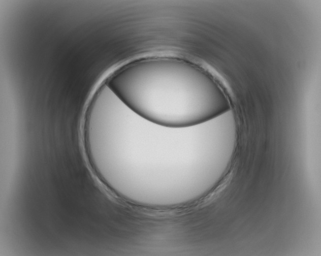X0000115781085200911131001