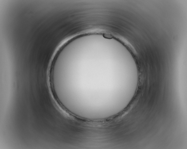X0000115781086200911131001