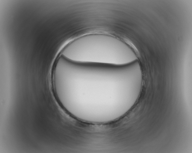 X0000115781087200911131001