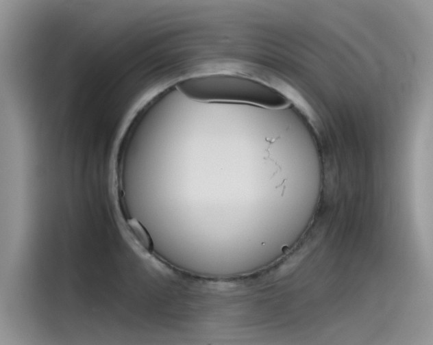 X0000115781088200911131001