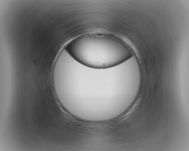X0000115781089200911131001