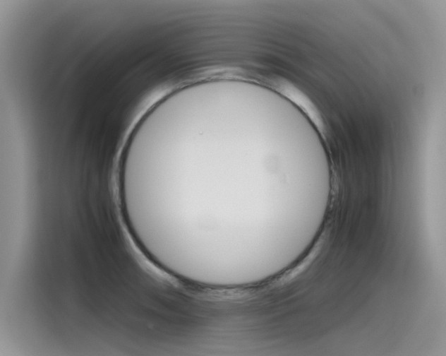 X0000115781090200911131001