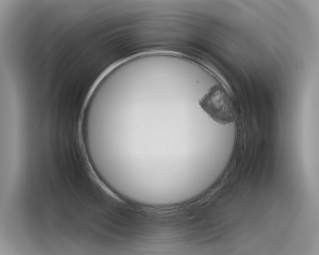 X0000115781092200911131001