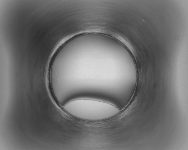 X0000115781093200911131001