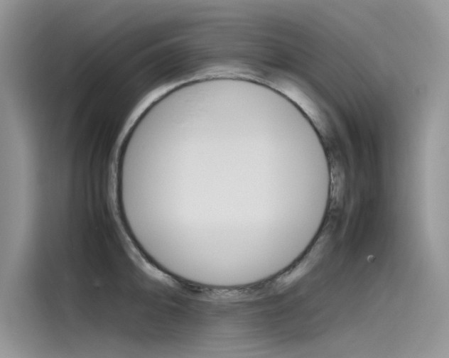X0000115781094200911131001