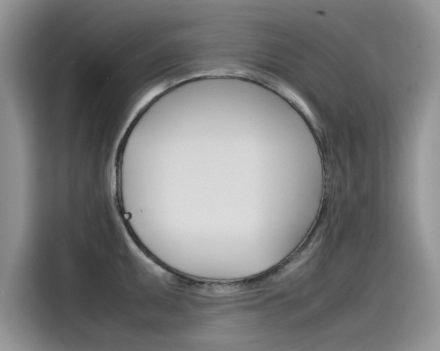 X0000115781095200911131001