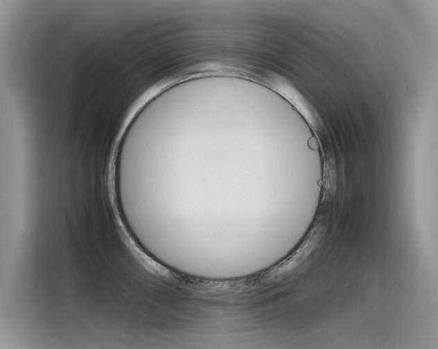 X0000115781098200911131001