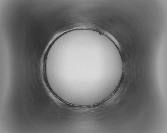 X0000115781099200911131001