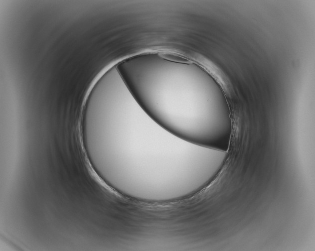 X0000115781100200911131001