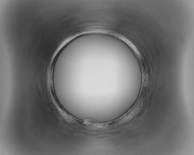 X0000115781101200911131001