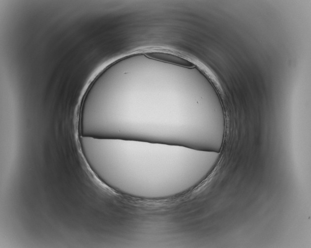 X0000115781102200911131001