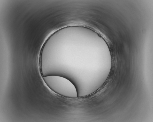 X0000115781103200911131001