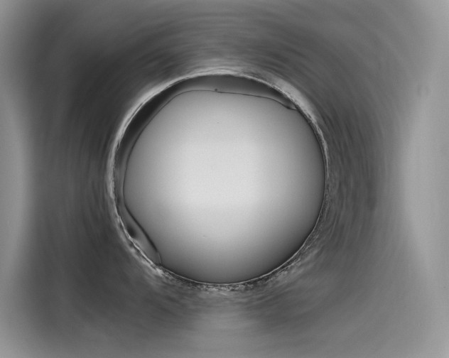 X0000115781104200911131001