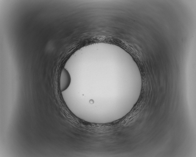X0000115781105200911131000