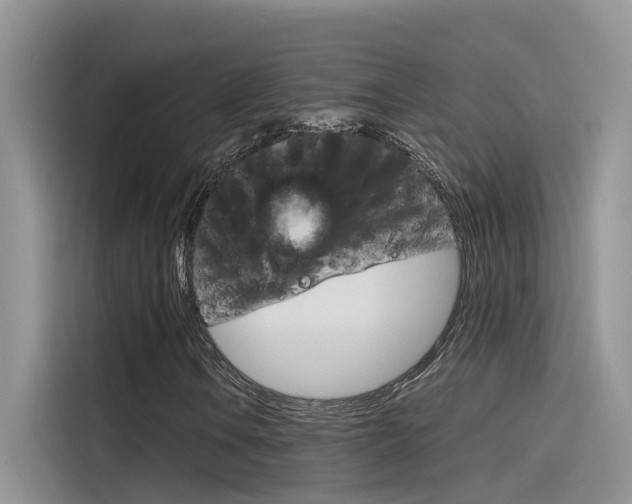 X0000115781106200911131001