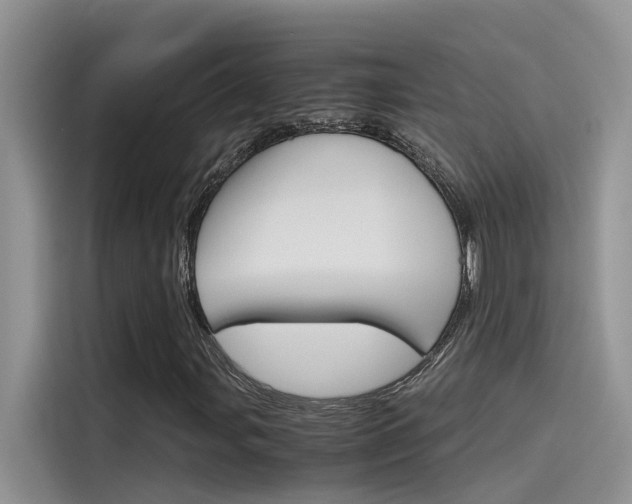X0000115781107200911131001