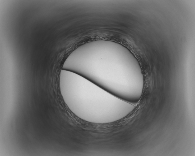 X0000115781109200911131001
