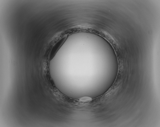 X0000115781110200911131001