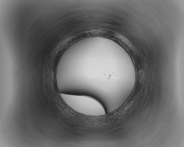 X0000115781111200911131001