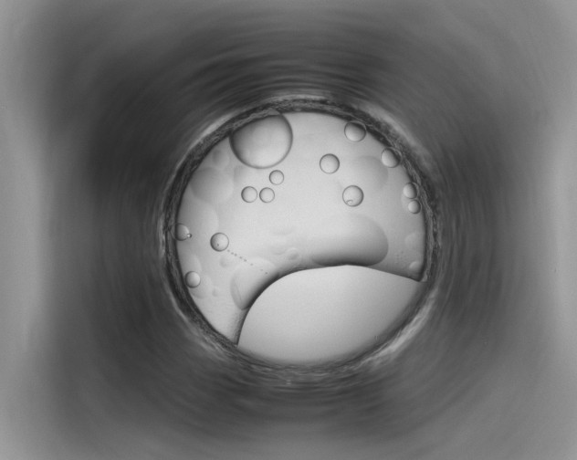 X0000115781113200911131001