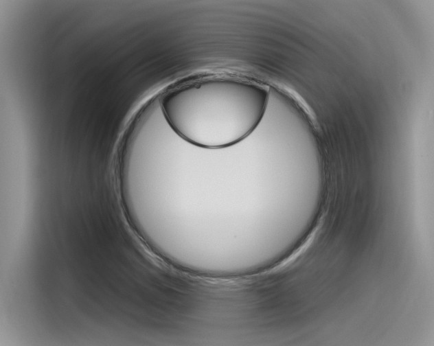 X0000115781114200911131001