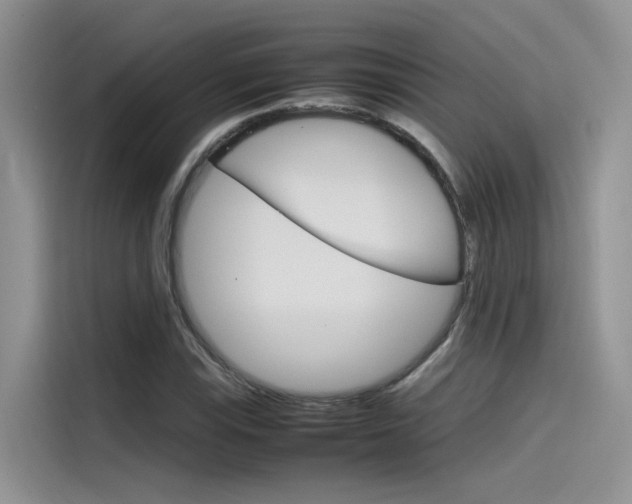 X0000115781115200911131001
