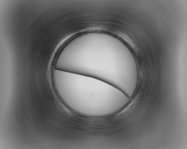 X0000115781119200911131001