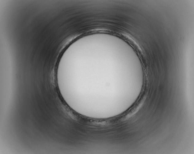 X0000115781121200911131001