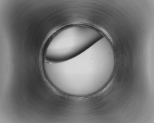 X0000115781122200911131001