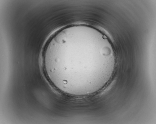 X0000115781125200911131001