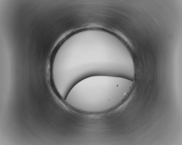 X0000115781126200911131001