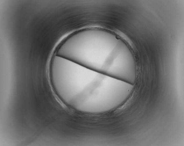 X0000115781127200911131001
