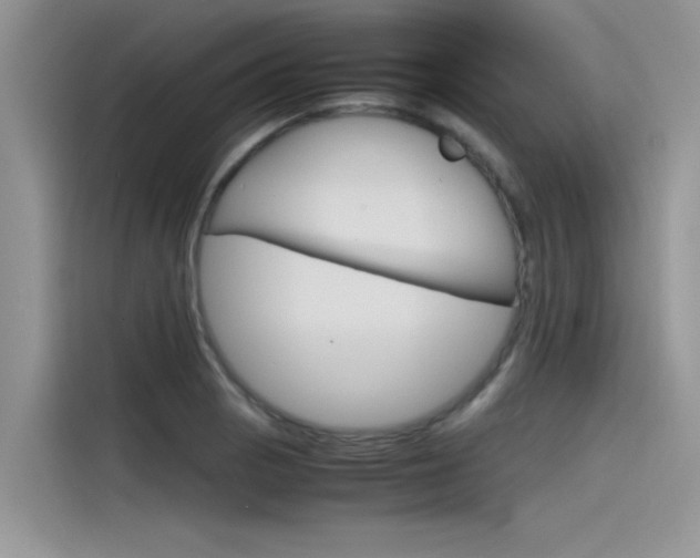X0000115781129200911131001