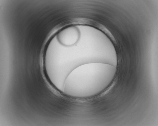 X0000115781130200911131001
