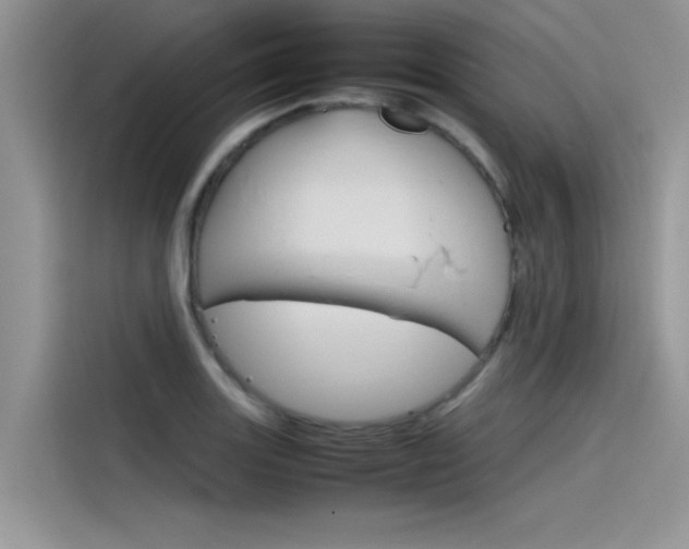 X0000115781131200911131001