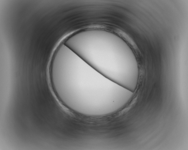 X0000115781133200911131001
