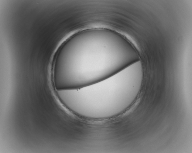 X0000115781134200911131001